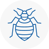 Bed Bug Extermination In Ryde