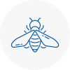 Bee Nest Removal Ryde