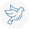 Bird Prevention Ryde