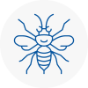 Ryde Hornet Nest Removals
