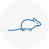 Mice Exterminators In Ryde
