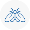 Moth Control Specialists In Ryde