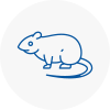 Rat Control Ryde