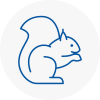 Ryde Rodent Removals