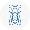 Ryde Wasp Nest Removal